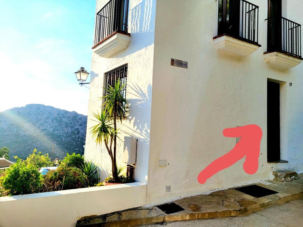 Appartement Luminoso Con Vistas Y Chimenea Apto Mascotas *