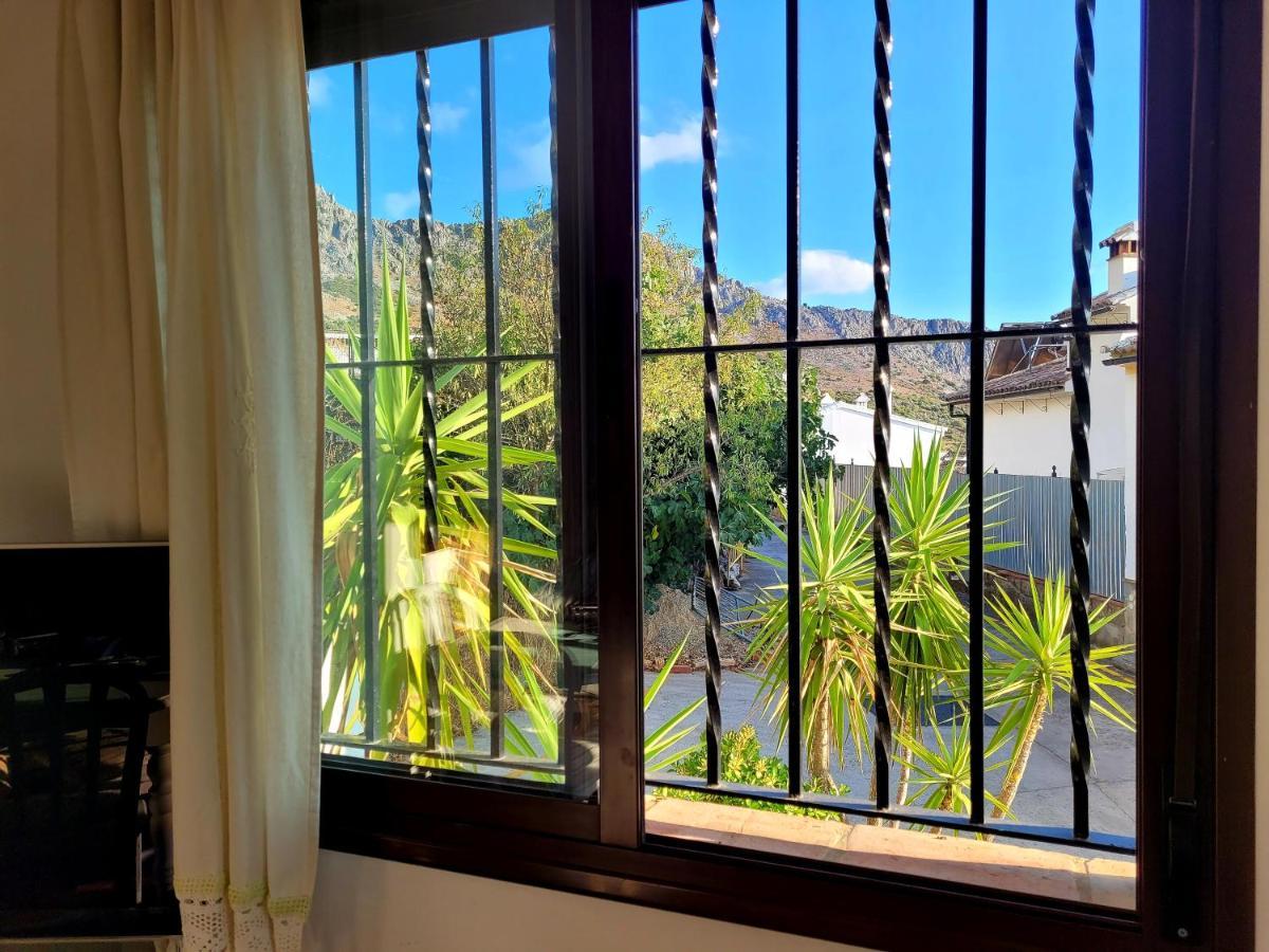 Luminoso Con Vistas Y Chimenea Apto Mascotas Apartamento